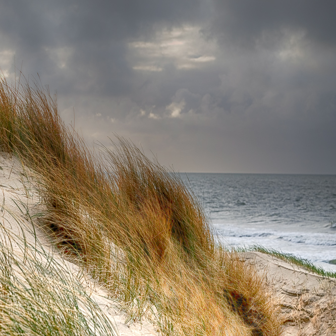 Zee strand en duinen, North Sea