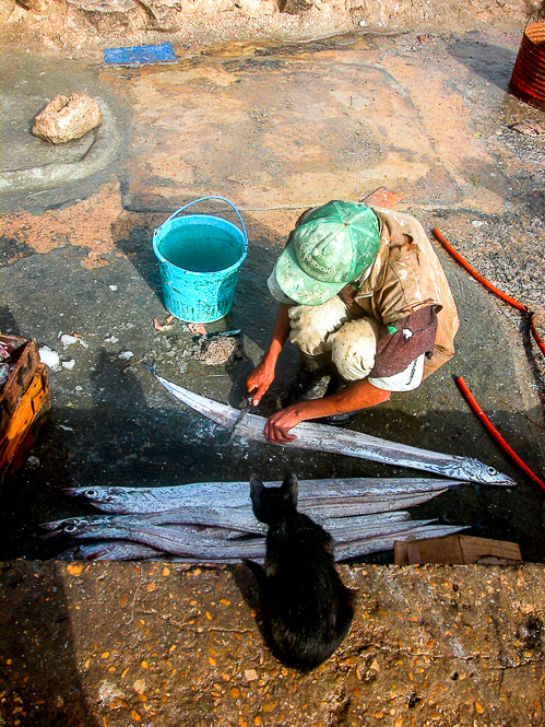 indrukken uit Makokko